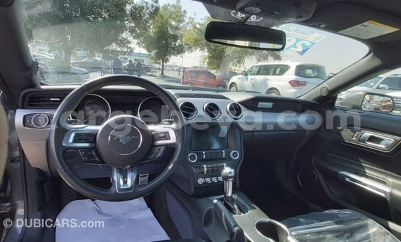 Buy Import Ford Mustang Other Car in Import - Dubai in Ethiopia Buy Import Ford Mustang Other Car in Import - Dubai in Ethiopia