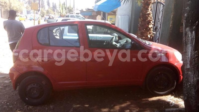 Big with watermark 27629263 181645732604707 8384070065866236799 o