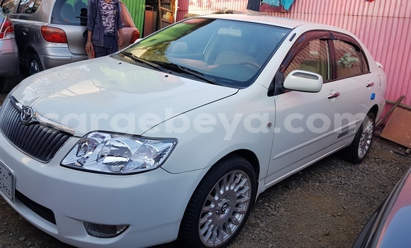 Buy New Toyota Corolla White Car in Addis–Ababa in Ethiopia Buy New Toyota Corolla White Car in Addis–Ababa in Ethiopia