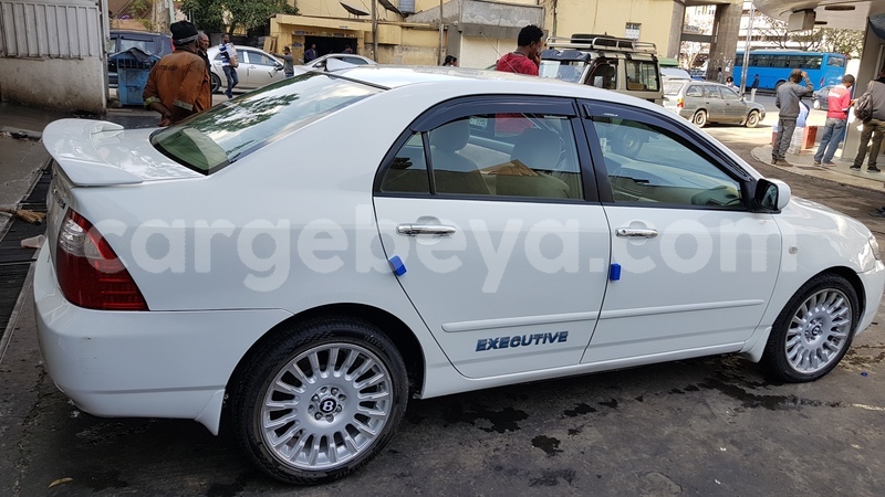 Big with watermark 20180130 161643