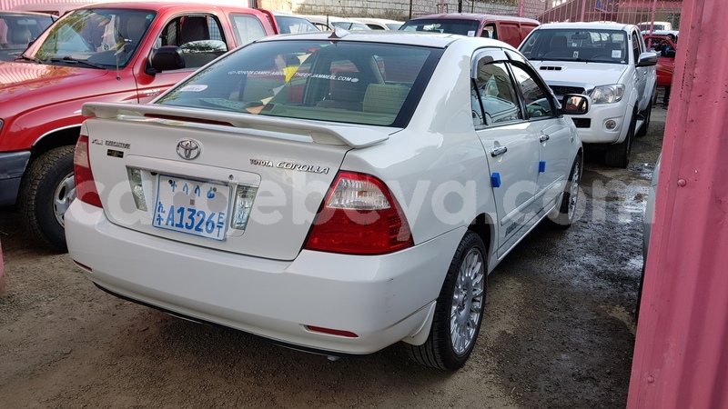 Big with watermark 20180130 170330