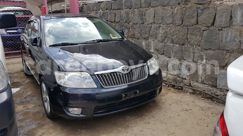 Big with watermark 20180219 152611