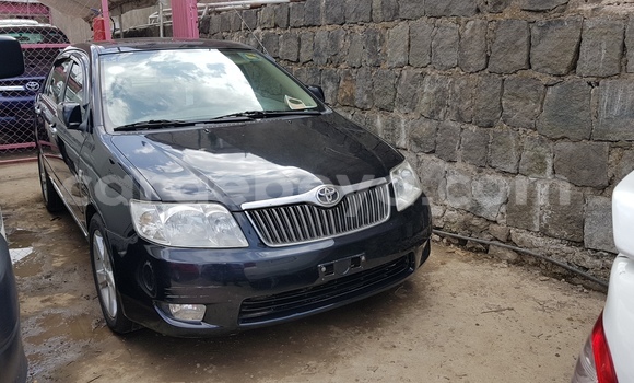 Buy New Toyota Corolla Black Car in Addis–Ababa in Ethiopia Buy New Toyota Corolla Black Car in Addis–Ababa in Ethiopia