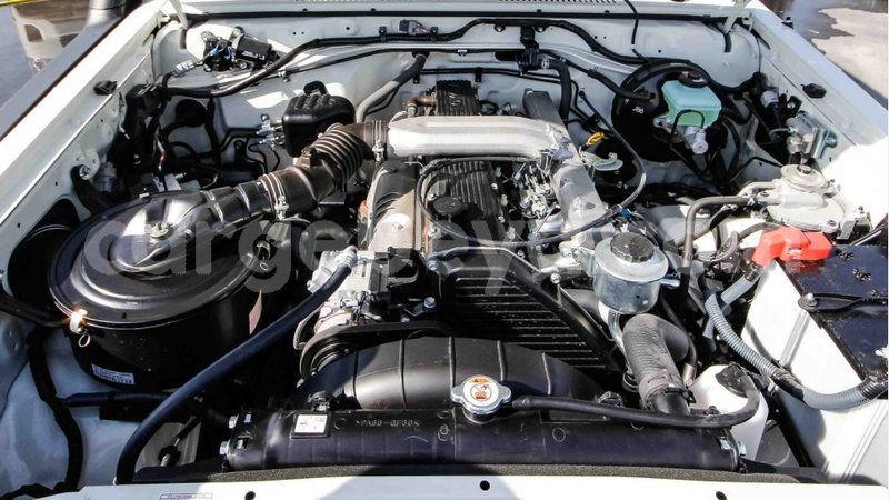 Big with watermark 12