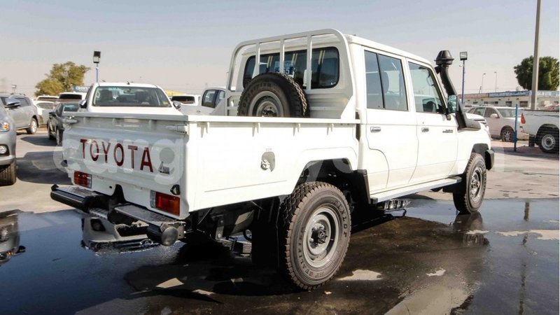 Big with watermark 13