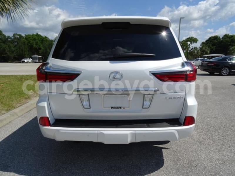 Big with watermark 555599980