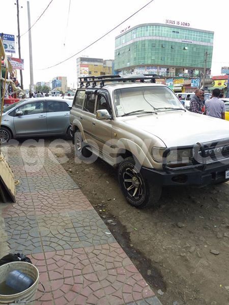 Big with watermark 24959109 1372679829509431 2290911251372580814 o