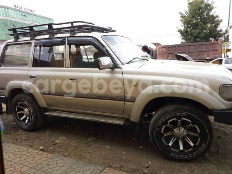 Big with watermark 25075045 1436706473124388 2663118157098388861 o