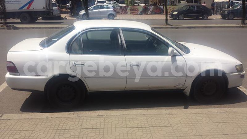 Big with watermark 24959109 1372679829509431 2290911251372580814 o