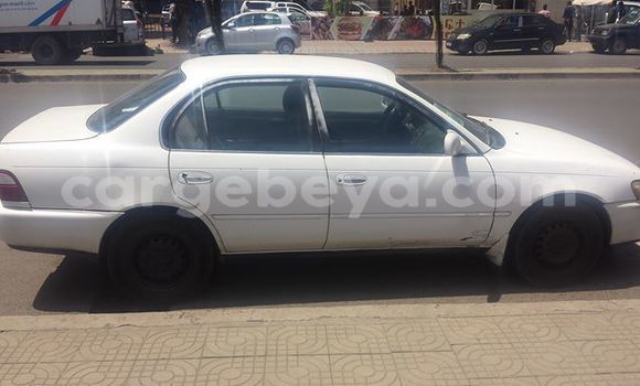 Buy Used Toyota Corolla White Car in Addis–Ababa in Ethiopia Buy Used Toyota Corolla White Car in Addis–Ababa in Ethiopia