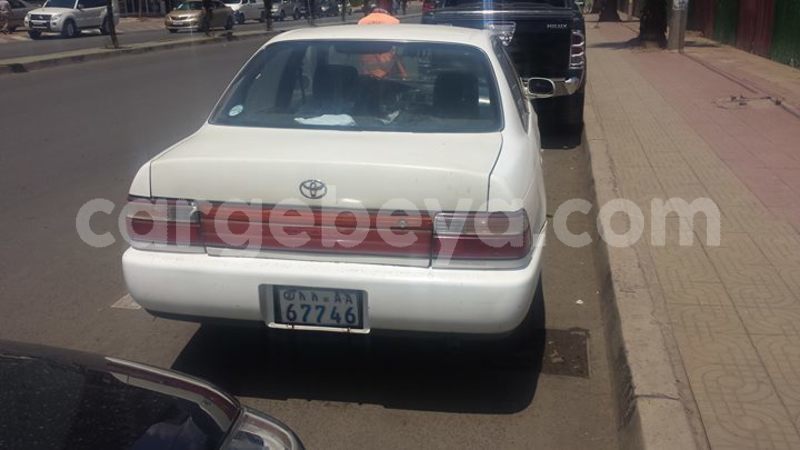 Big with watermark 25075045 1436706473124388 2663118157098388861 o