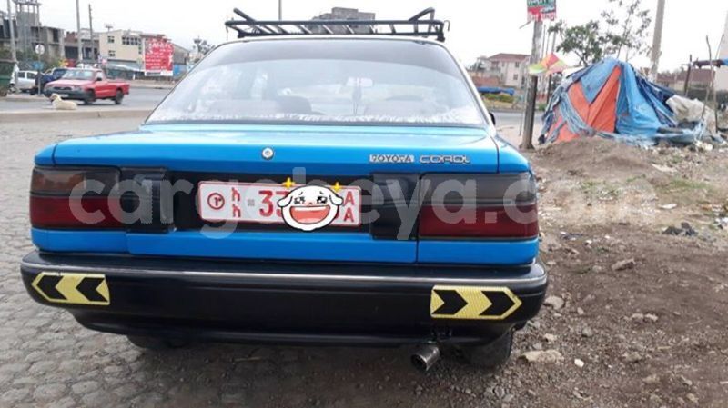 Big with watermark 24959109 1372679829509431 2290911251372580814 o