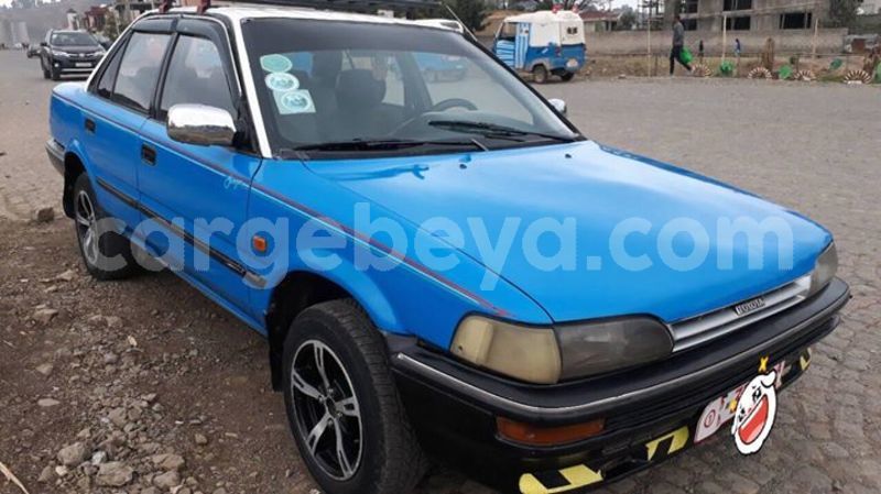 Big with watermark 25075045 1436706473124388 2663118157098388861 o