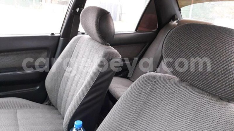 Big with watermark 25152125 1436706493124386 3988117729400250843 n