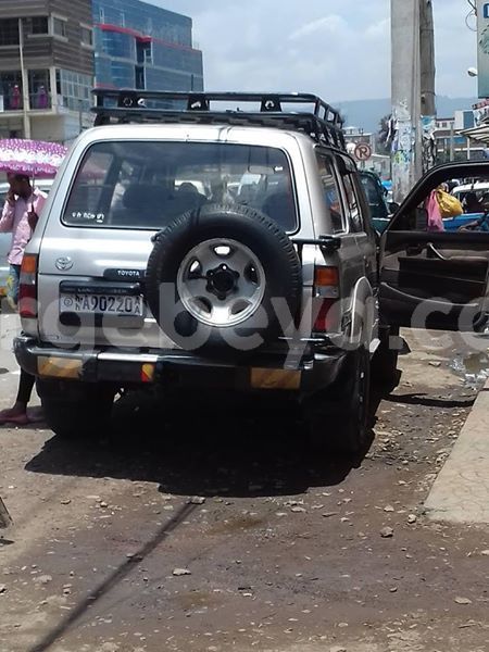 Big with watermark 25075045 1436706473124388 2663118157098388861 o