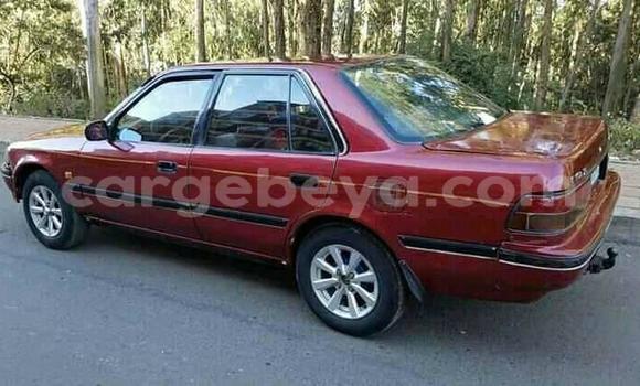 Buy Used Toyota Corolla Red Car in Addis–Ababa in Ethiopia Buy Used Toyota Corolla Red Car in Addis–Ababa in Ethiopia
