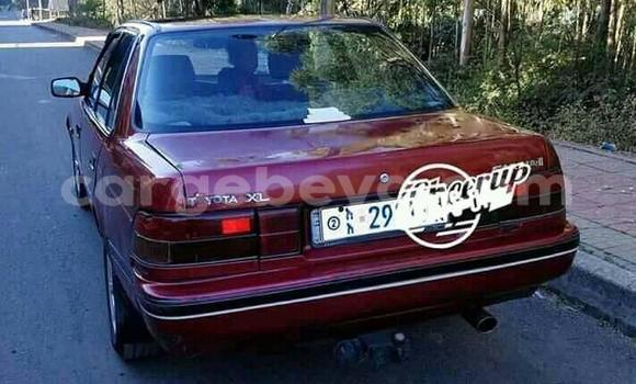 Buy Used Toyota Corolla Red Car in Addis–Ababa in Ethiopia Buy Used Toyota Corolla Red Car in Addis–Ababa in Ethiopia