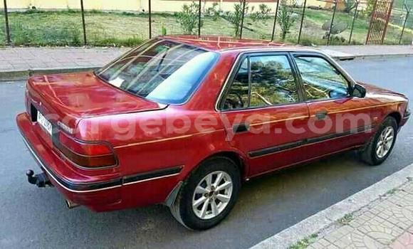Buy Used Toyota Corolla Red Car in Addis–Ababa in Ethiopia Buy Used Toyota Corolla Red Car in Addis–Ababa in Ethiopia