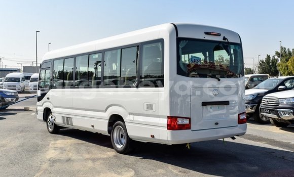 Buy Import Toyota Coaster White Car in Import - Dubai in Ethiopia Buy Import Toyota Coaster White Car in Import - Dubai in Ethiopia