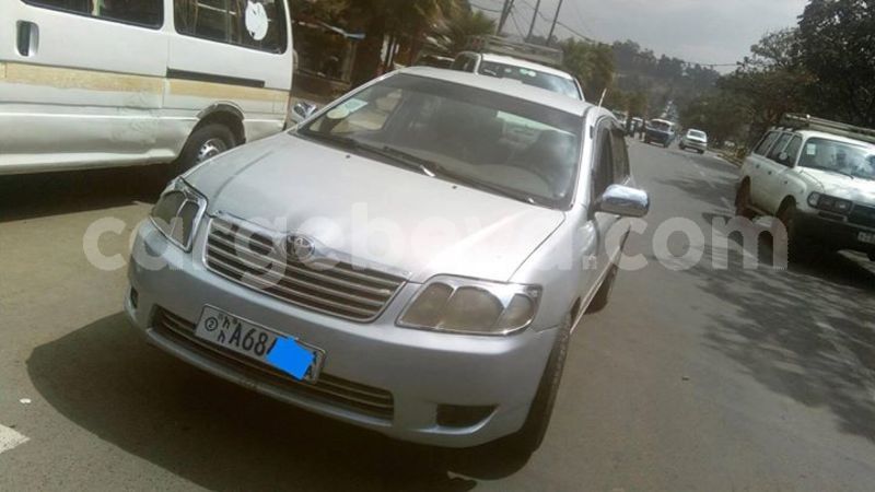 Big with watermark 25075045 1436706473124388 2663118157098388861 o