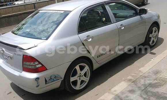 Buy Used Toyota Corolla Silver Car in Addis–Ababa in Ethiopia Buy Used Toyota Corolla Silver Car in Addis–Ababa in Ethiopia