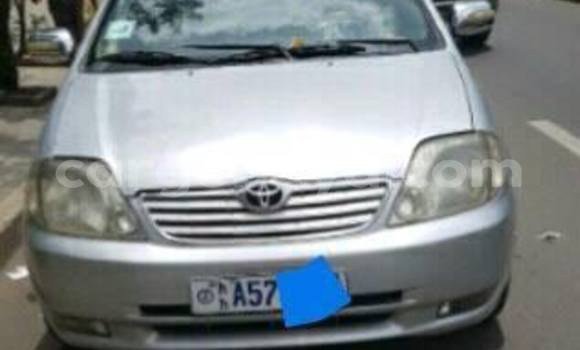 Acheter Occasion Voiture Toyota Corolla Gris à Addis Ababa, Ethiopie Acheter Occasion Voiture Toyota Corolla Gris à Addis Ababa, Ethiopie