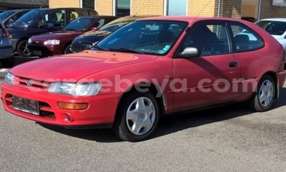 Acheter Occasion Voiture Toyota Corolla Rouge à Addis Ababa, Ethiopie Acheter Occasion Voiture Toyota Corolla Rouge à Addis Ababa, Ethiopie
