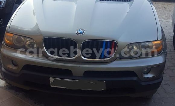 Buy Used BMW X5 Silver Car in Addis–Ababa in Ethiopia Buy Used BMW X5 Silver Car in Addis–Ababa in Ethiopia