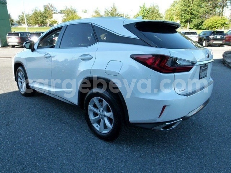 Big with watermark 4