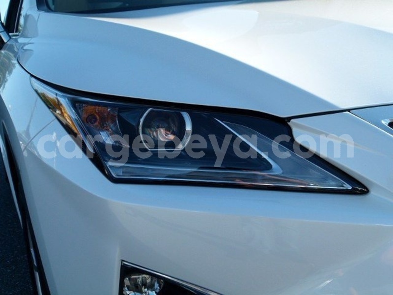 Big with watermark 9