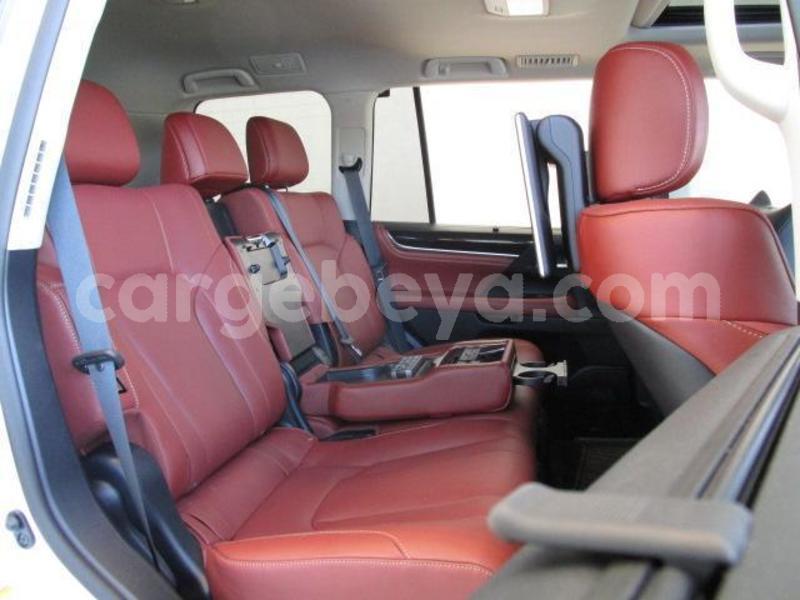 Big with watermark 017b