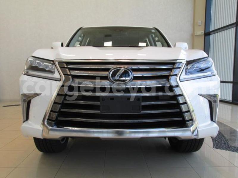 Big with watermark 017c