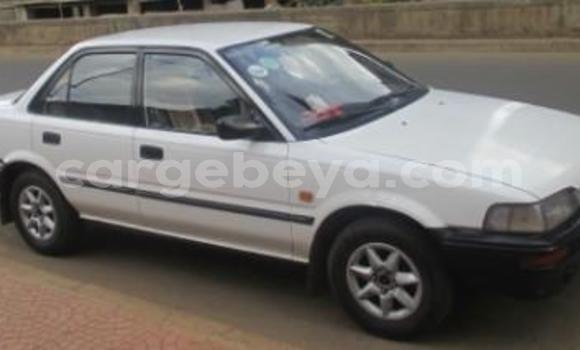 Buy Used Toyota Corolla White Car in Addis–Ababa in Ethiopia Buy Used Toyota Corolla White Car in Addis–Ababa in Ethiopia