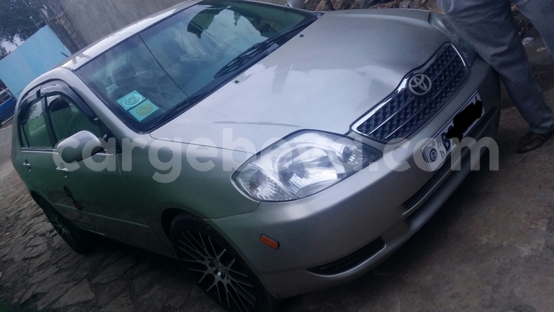 Big with watermark 2018 04 26 12.55.19