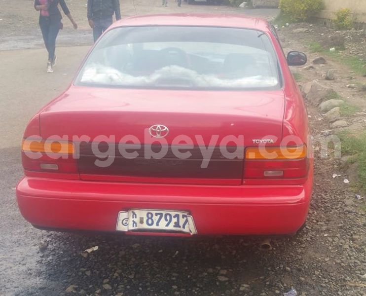 Big with watermark 30623955 578122035882356 6857030771144654848 n