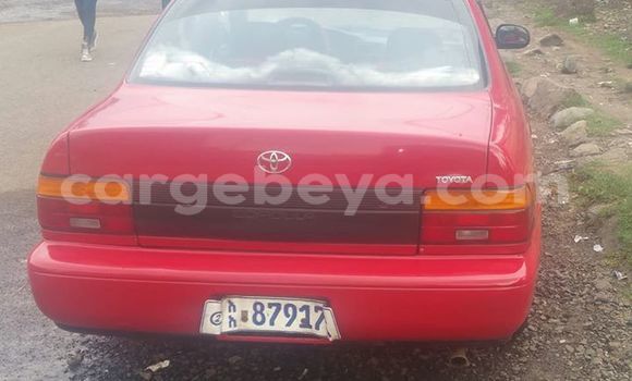 Buy Used Toyota Corolla Red Car in Addis–Ababa in Ethiopia Buy Used Toyota Corolla Red Car in Addis–Ababa in Ethiopia