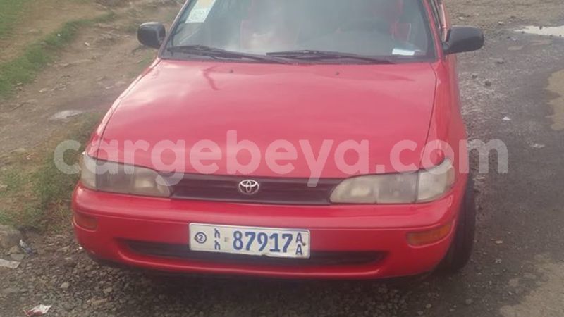 Big with watermark 30705011 1080215435450894 1812932972978896896 n