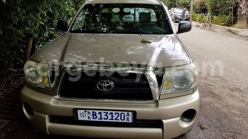 Big with watermark 30629329 194112211393369 244064733525704704 n