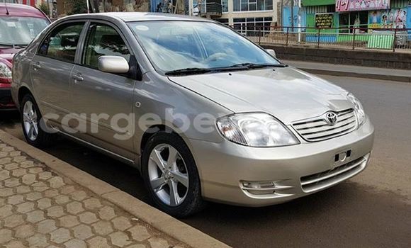 Buy Used Toyota Corolla Silver Car in Addis–Ababa in Ethiopia Buy Used Toyota Corolla Silver Car in Addis–Ababa in Ethiopia
