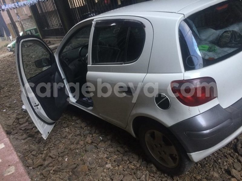 Big with watermark 30629329 194112211393369 244064733525704704 n