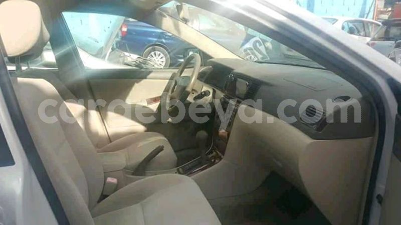 Big with watermark 30629329 194112211393369 244064733525704704 n