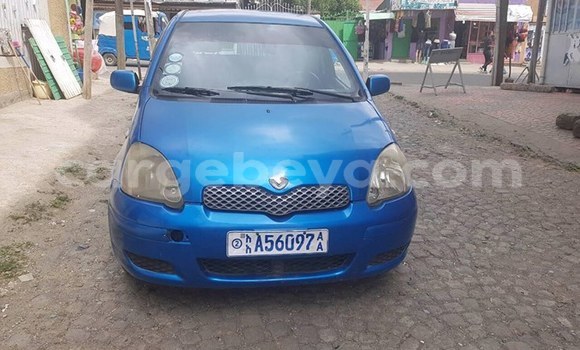 Buy Used Toyota Vitz Blue Car in Addis–Ababa in Ethiopia Buy Used Toyota Vitz Blue Car in Addis–Ababa in Ethiopia