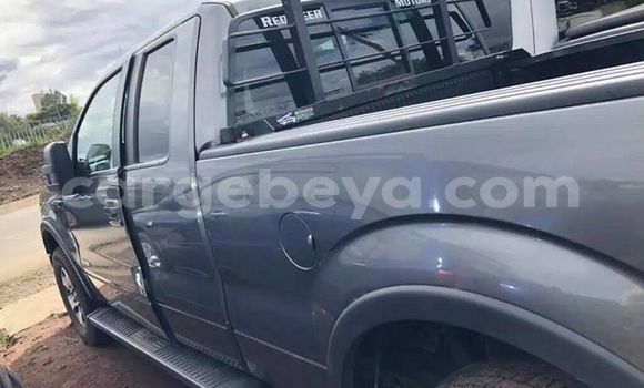 Buy Used Ford F-150 Other Car in Addis–Ababa in Ethiopia Buy Used Ford F-150 Other Car in Addis–Ababa in Ethiopia