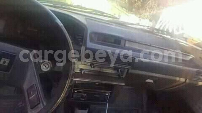 Big with watermark 30705011 1080215435450894 1812932972978896896 n