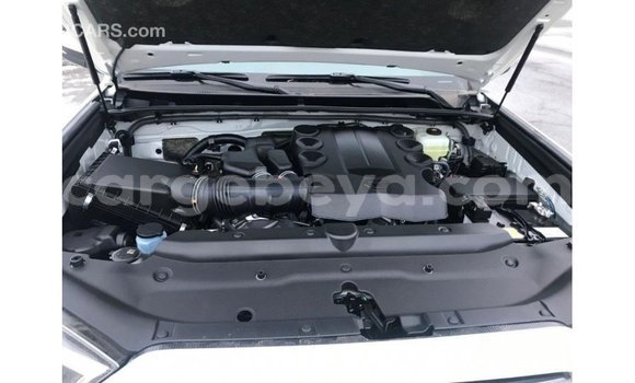 Buy Import Toyota HiAce White Truck in Import - Dubai in Ethiopia Buy Import Toyota HiAce White Truck in Import - Dubai in Ethiopia