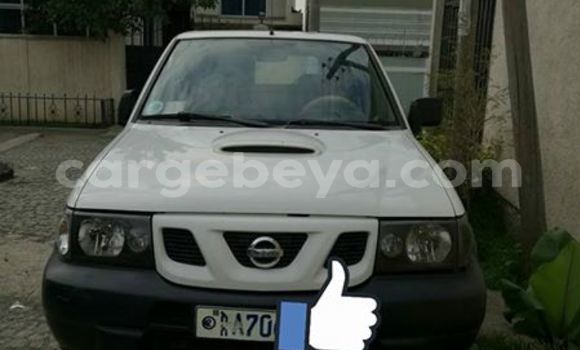 Buy Used Nissan Terrano White Car in Addis–Ababa in Ethiopia Buy Used Nissan Terrano White Car in Addis–Ababa in Ethiopia