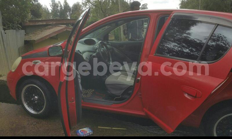 Big with watermark 2