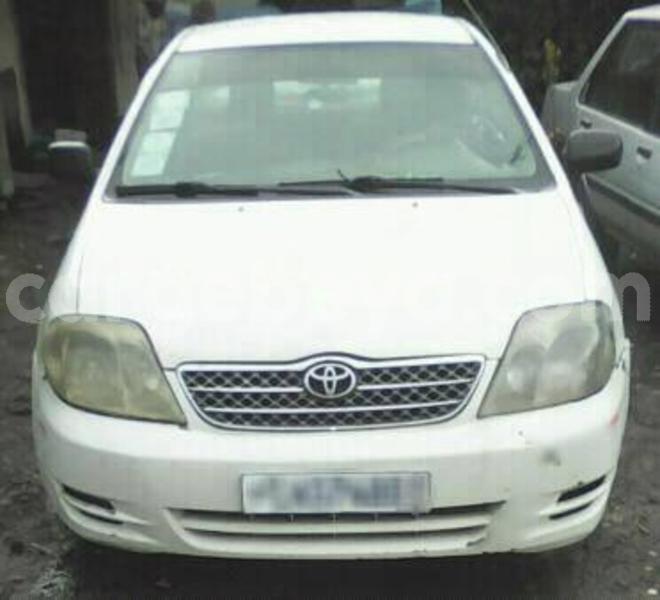 Big with watermark 30623955 578122035882356 6857030771144654848 n