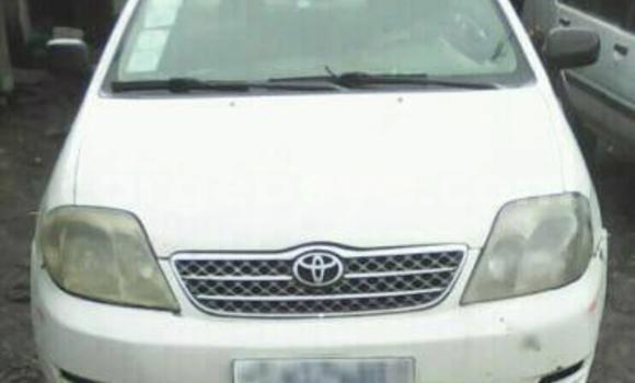 Buy Used Toyota Corolla White Car in Addis–Ababa in Ethiopia Buy Used Toyota Corolla White Car in Addis–Ababa in Ethiopia