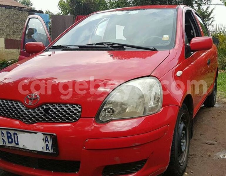 Big with watermark 30629329 194112211393369 244064733525704704 n